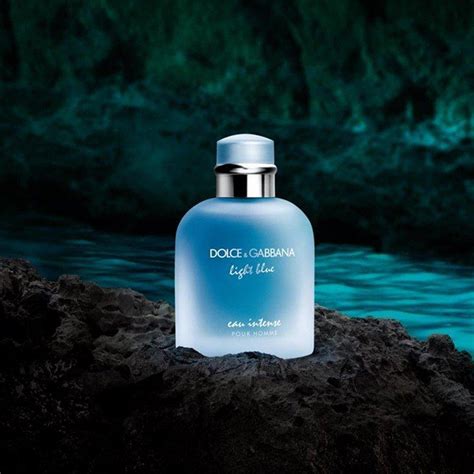 dolce gabbana pour homme notes